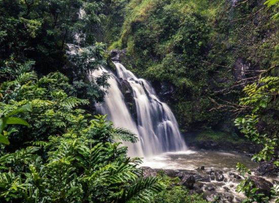 Maui waterfall