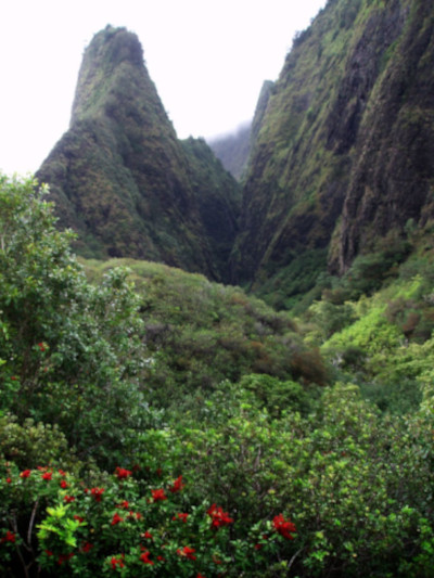 Iao Needle