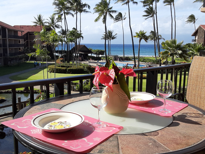 Lanai view from our studio unit