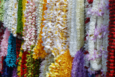 Hawaiian Leis