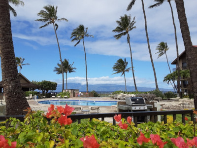 Papakea pool area